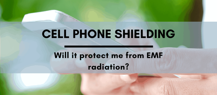 Cell Phone Shielding
